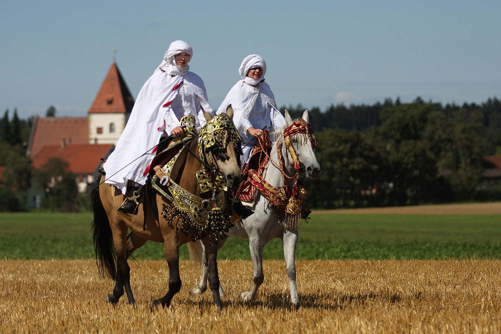 Araber in Ruppertshofen