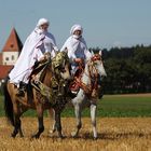 Araber in Ruppertshofen