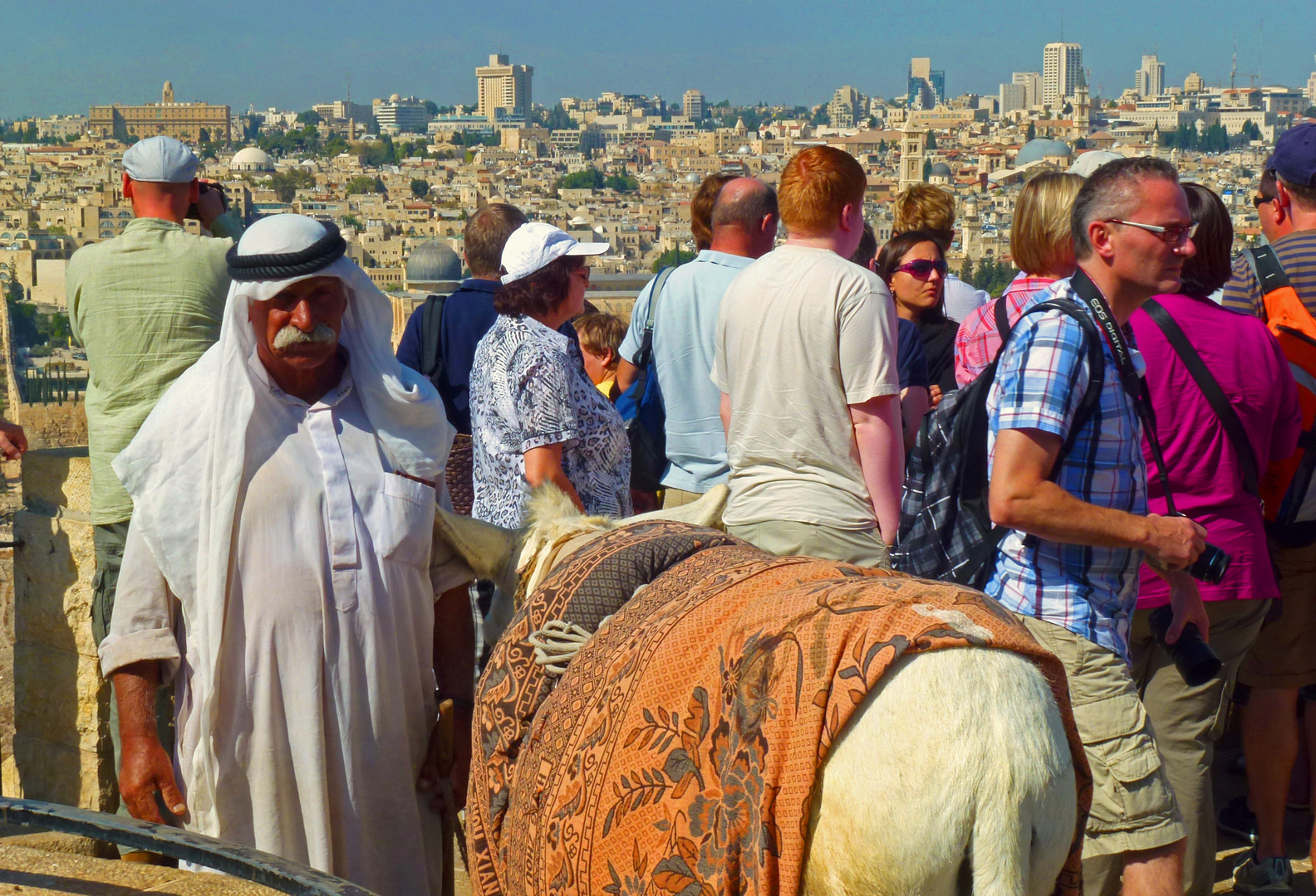 Araber mit seinem Esel an einem Aussichtspunkt über den Gräberfeldern Jerusalems