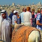 Araber mit seinem Esel an einem Aussichtspunkt über den Gräberfeldern Jerusalems