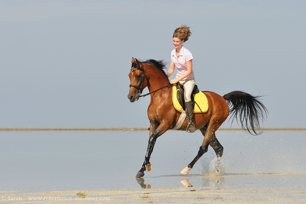 araber- reiten - tunesien -