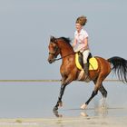 araber- reiten - tunesien -