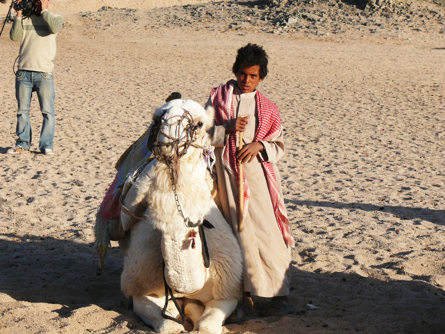 Arabian Desert