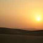 Arabian Desert