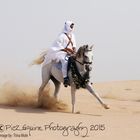 Arabian Horse in the desert with Bedouin Rider