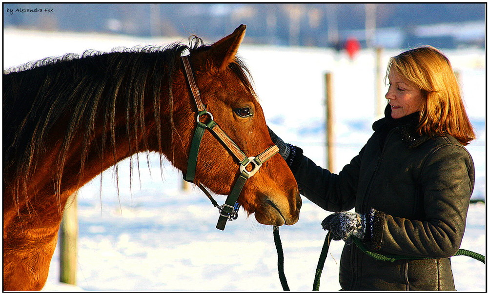 . Arabian winter .