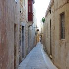 Arabic street