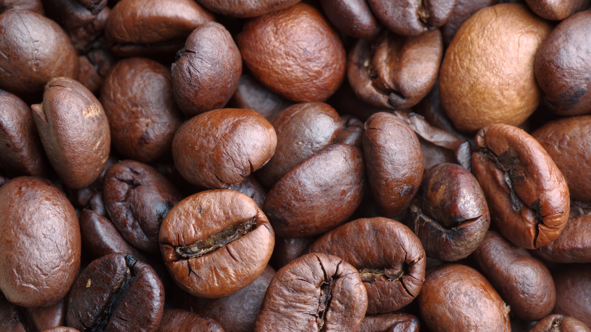 Arabica Coffeebeans