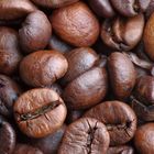 Arabica Coffeebeans