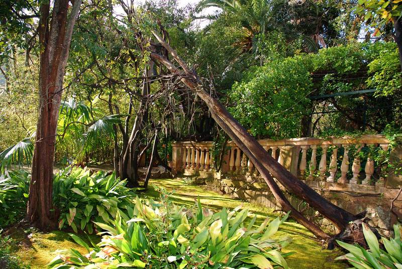 Arabischer Garten 2 Foto &amp; Bild europe, balearic islands