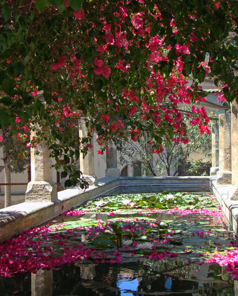 Arabischer Garten