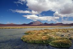 Aracamawüste in Nordchile