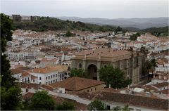 .Aracena.