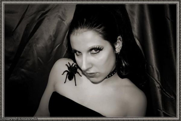 "Arachnophilie"