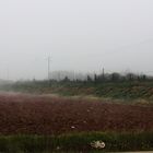 arahal y niebla