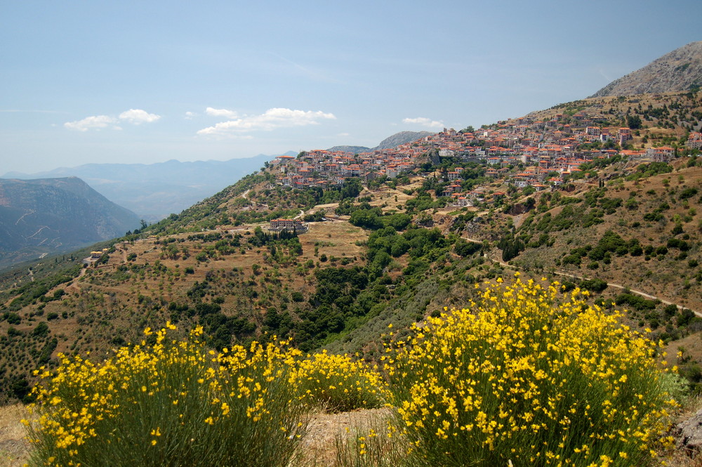 Arahova mit Ginster