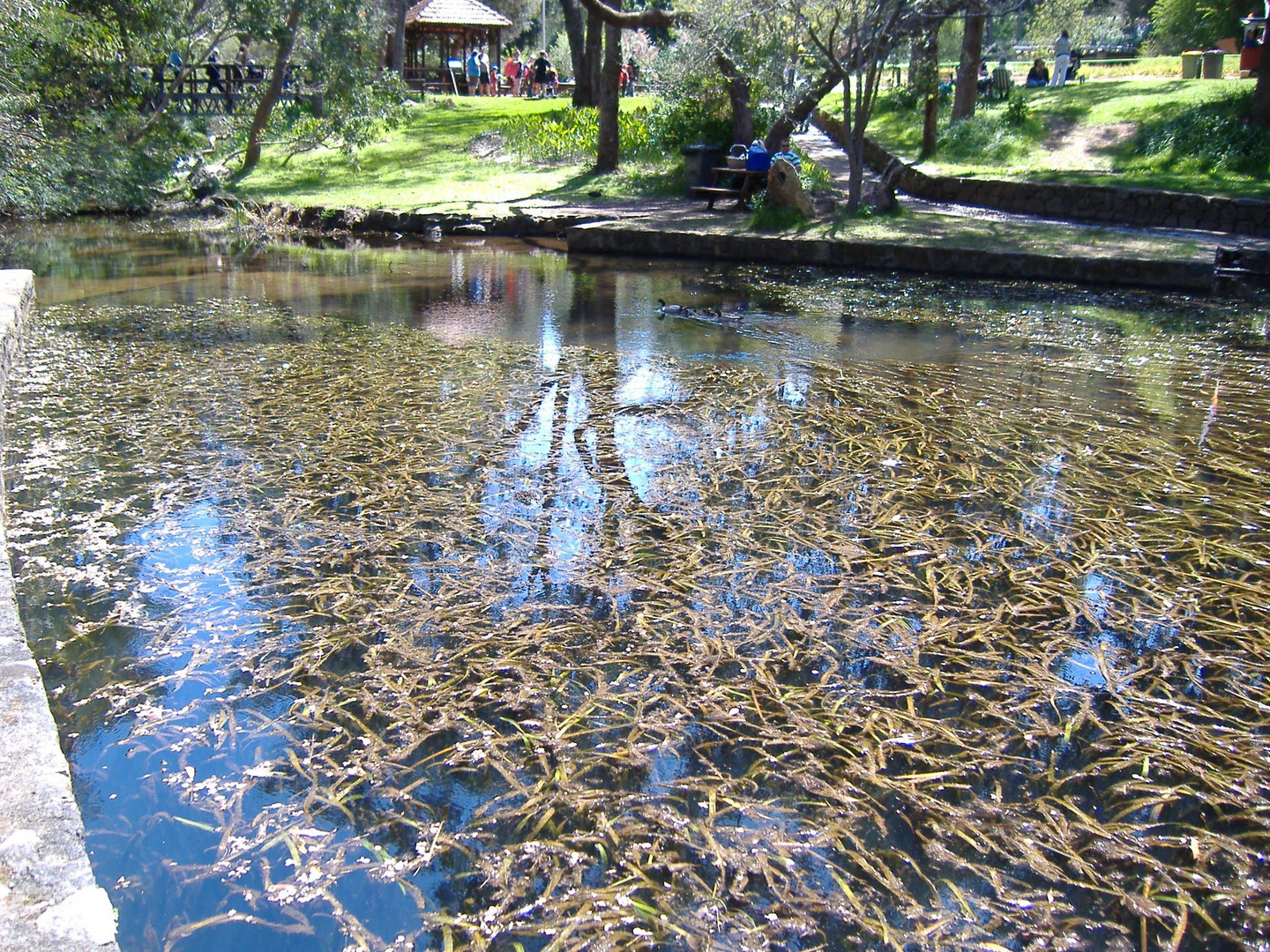 Araluen-Botanic-Park