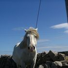 aran island ms