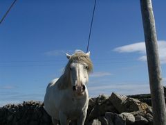 aran island ms