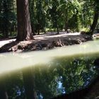 Aranjuez - Jardines del Principe.