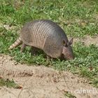 Aransas Wildlife Refuge