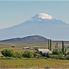 Ararat.............