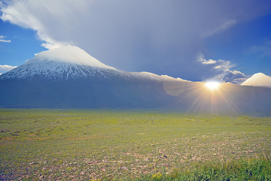 ararat