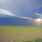 ararat