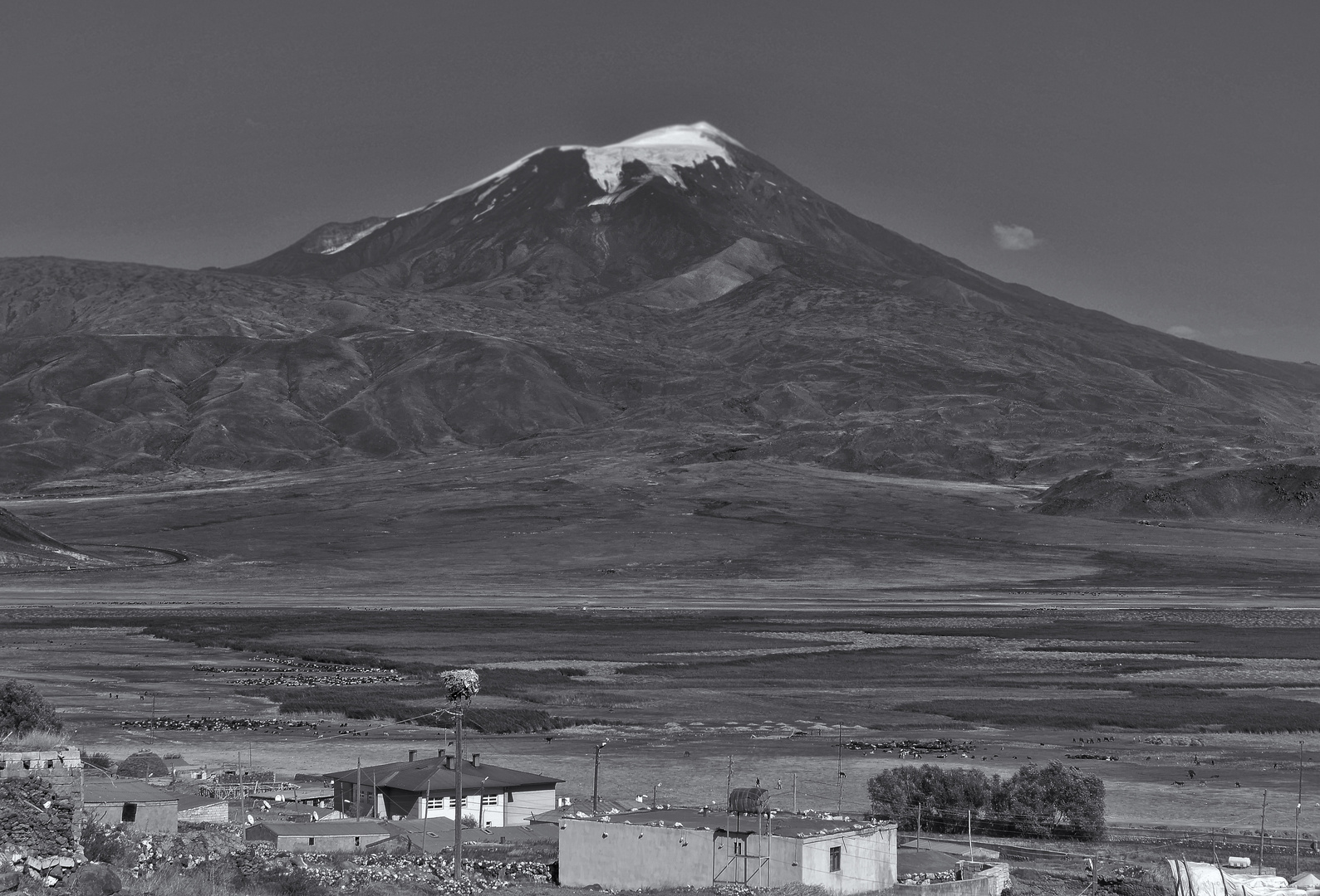 Ararat