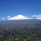 Ararat Mountain