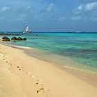 Arashi Beach Aruba