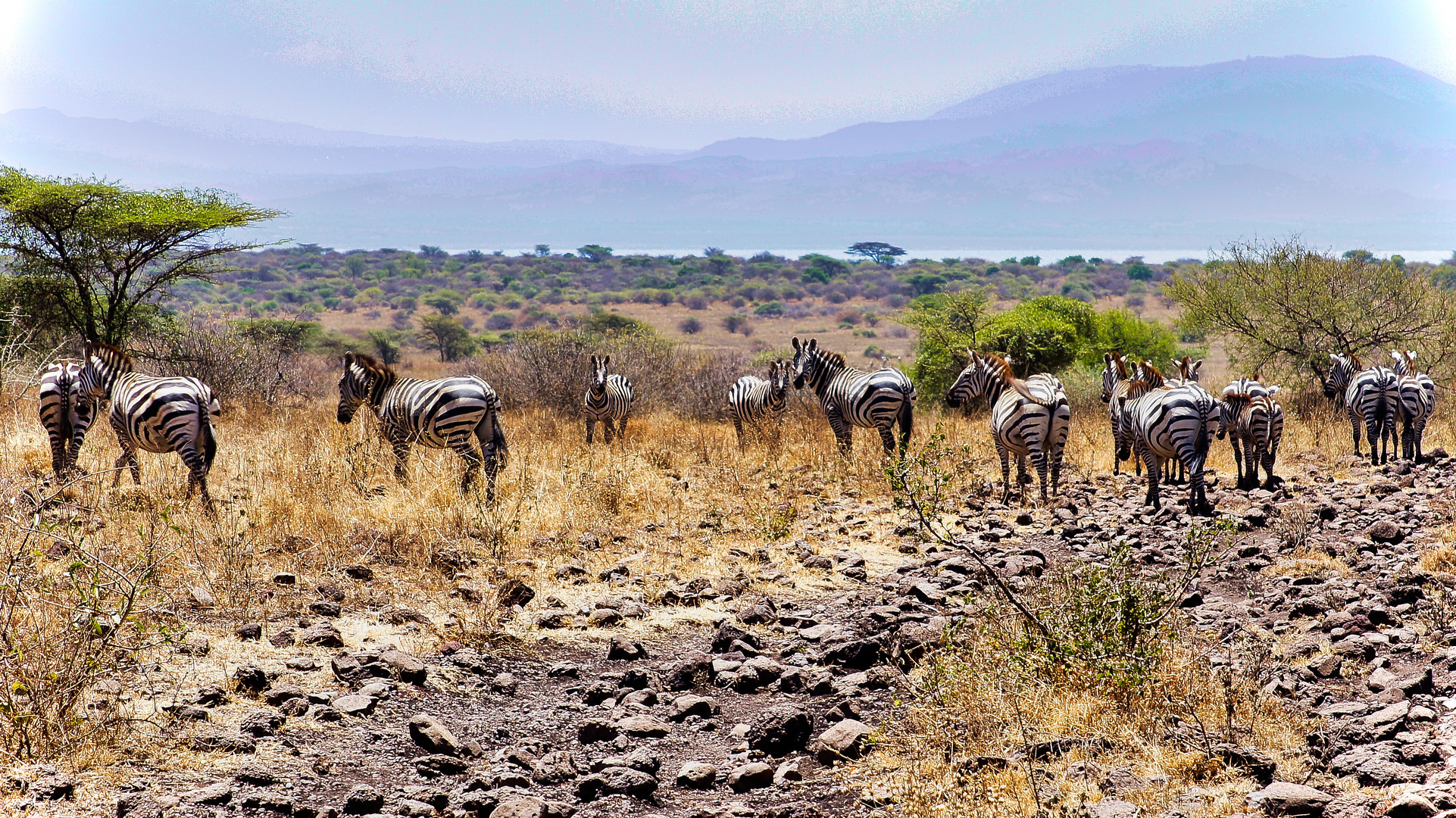 arba minch nat,park_34 (2)