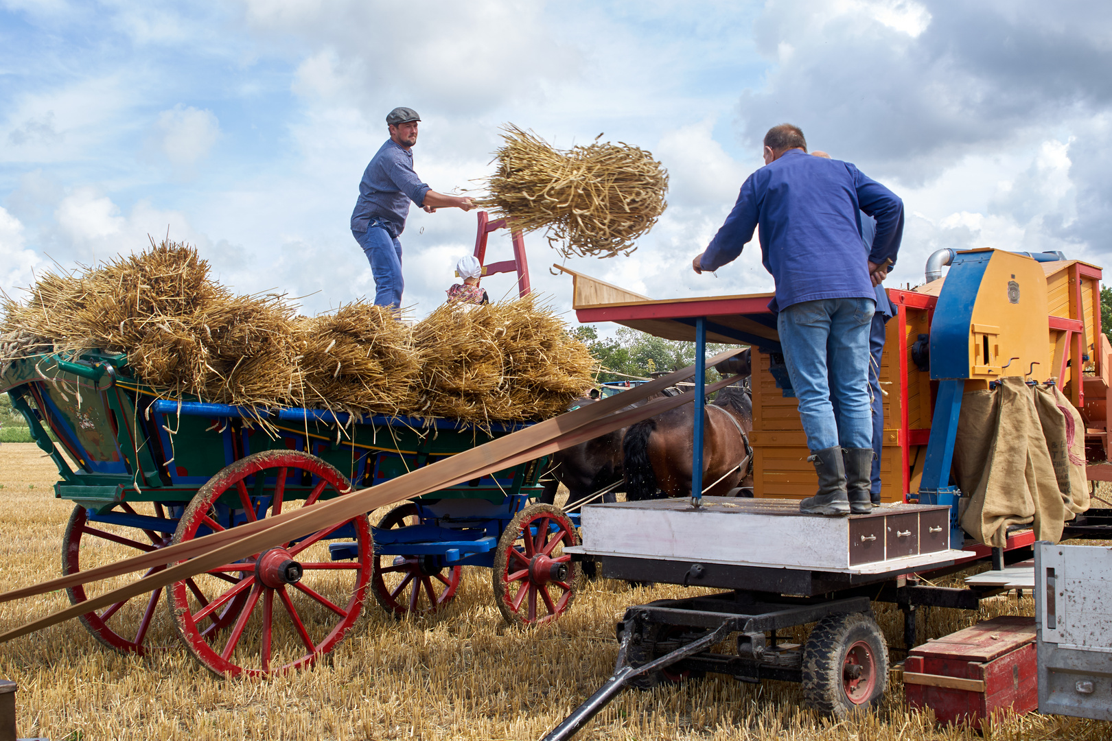 Arbeit bei der Ernte 1