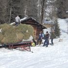 Arbeit im Schnee