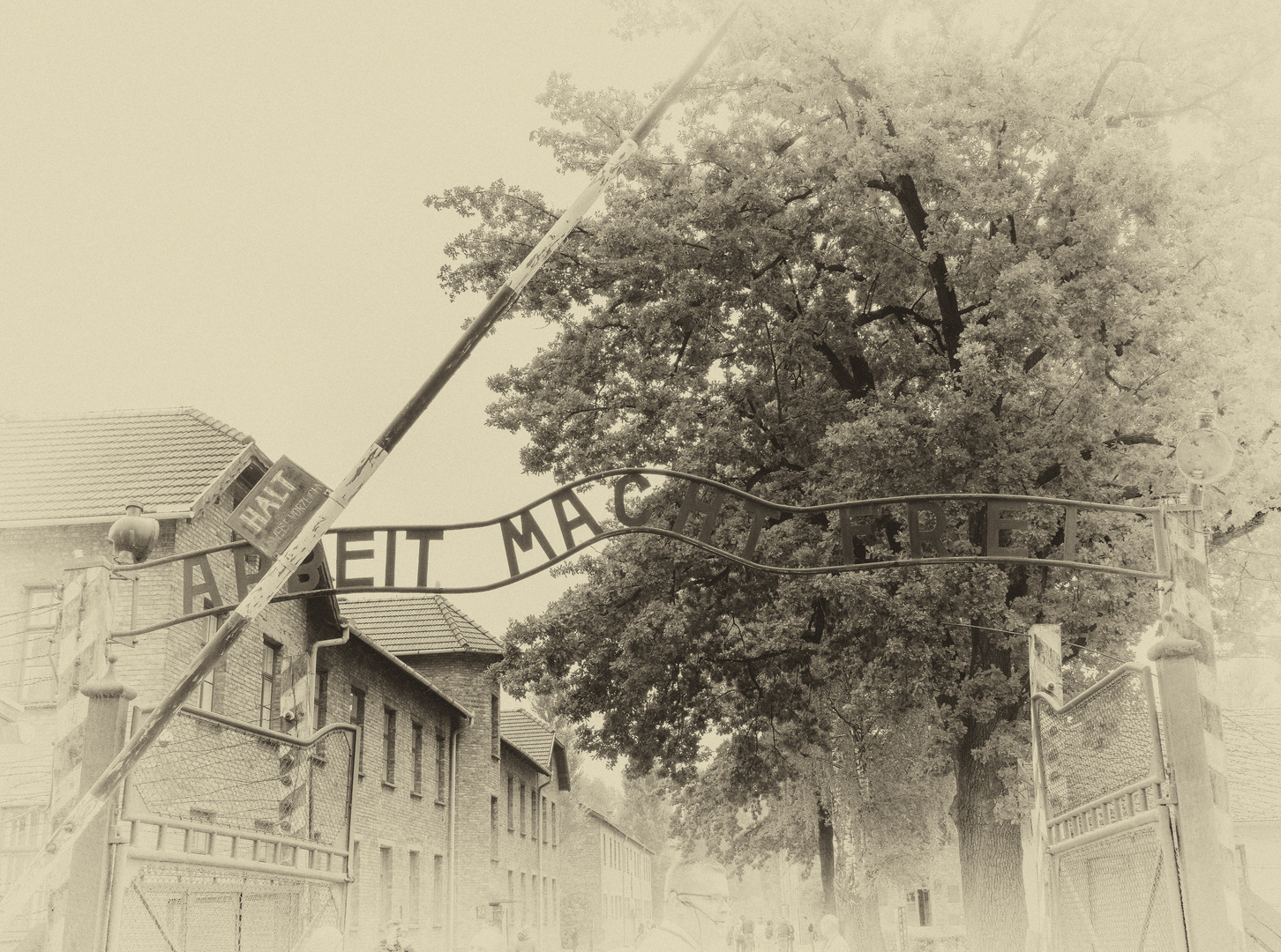 ~ Arbeit macht frei ~