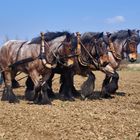 Arbeit wie dazumal