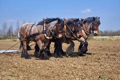 Arbeit wie dazumal