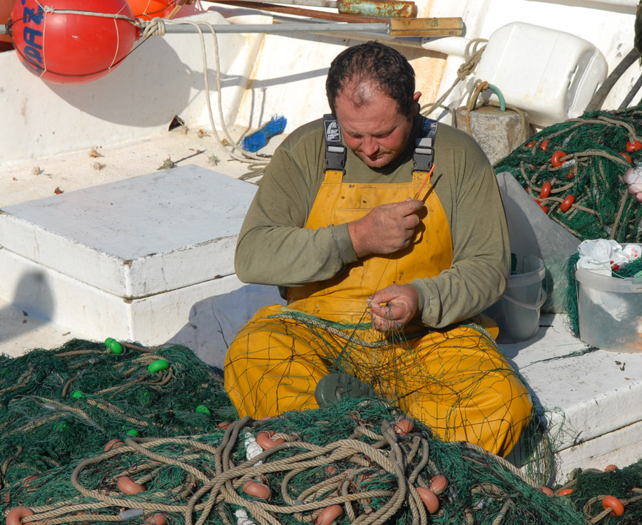 Arbeiten am Fischerhafen