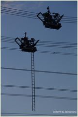 Arbeiten an der neuen Hochspannungsleitung