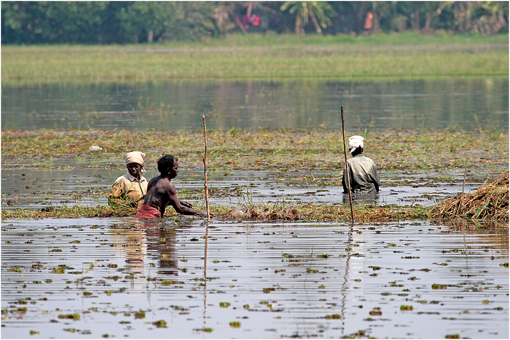 Arbeiten im Bereich der Backwaters