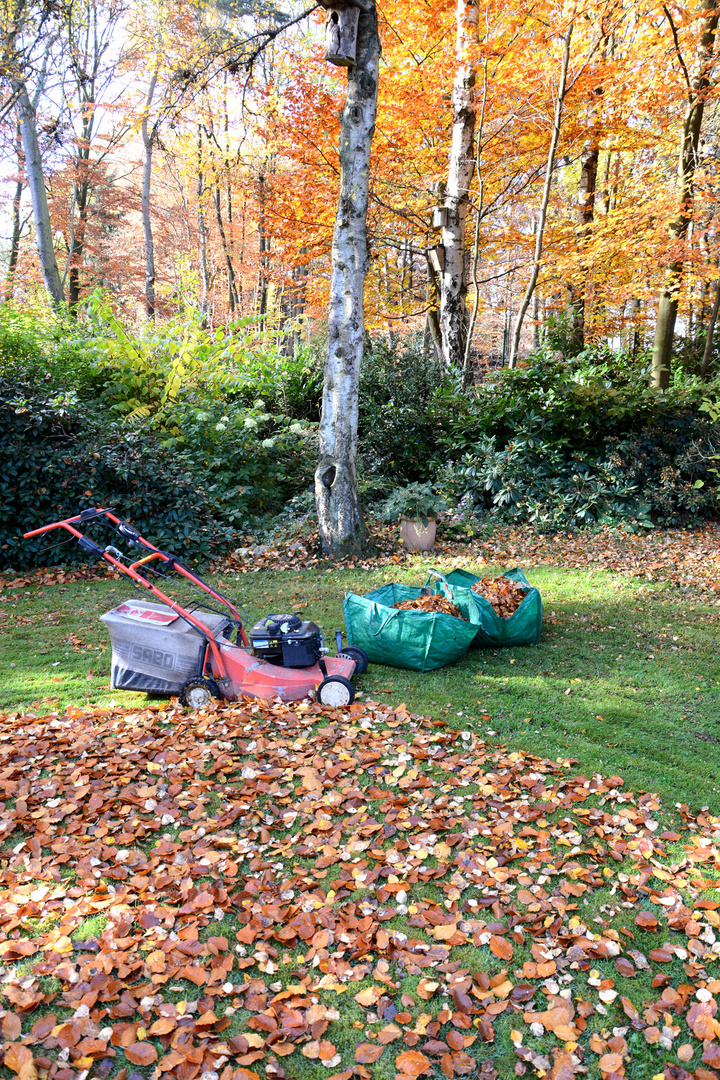 Arbeiten im Garten: Blätter entsorgen.