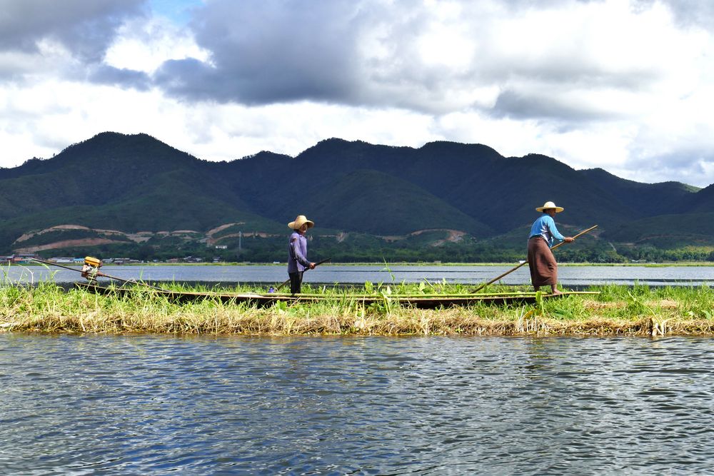 ...arbeiten in den schwimmenden Gärten am Inle See...