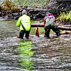 Arbeiten in der SEEVE für Natur- und Umweltschutz.