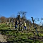 Arbeitende soll man nicht Stören