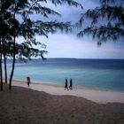 Arbeiter am Strand bei Dar