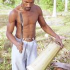 Arbeiter auf einer Kokosplantage auf La Digue / Seychellen