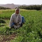 Arbeiterin am Fusse des Atlas Gebirge in Marokko