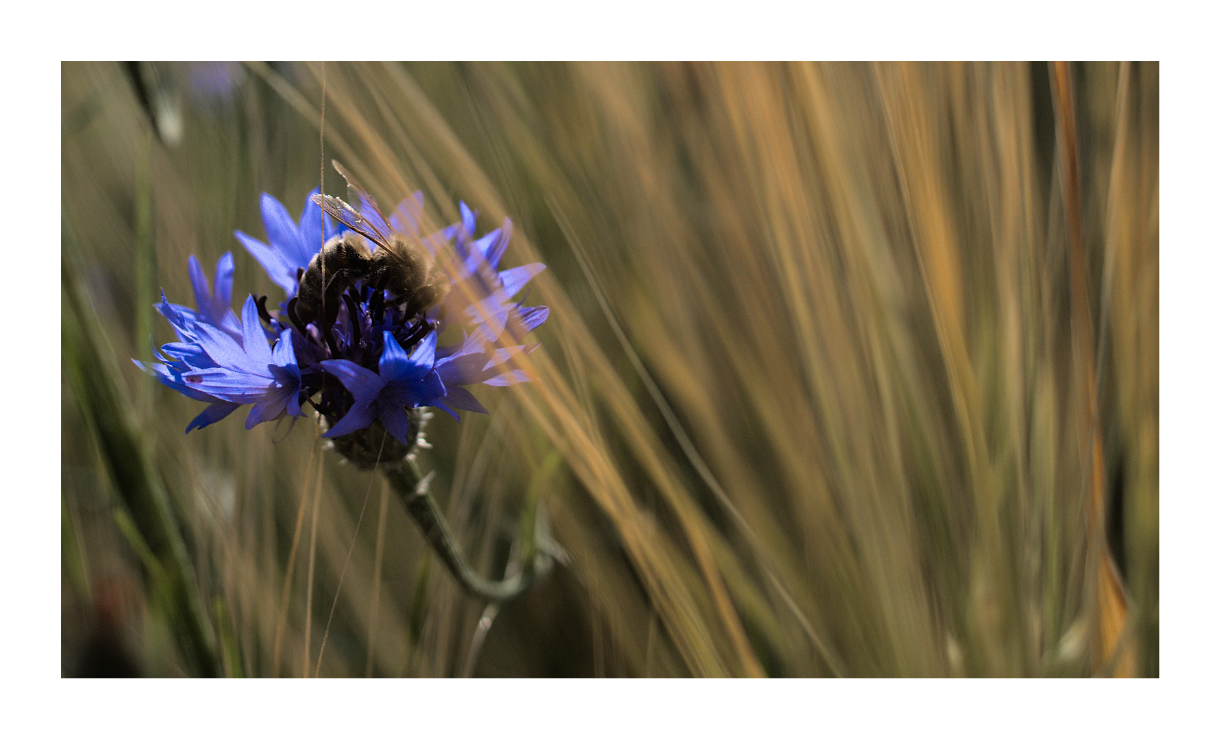 Arbeiterin in Blau