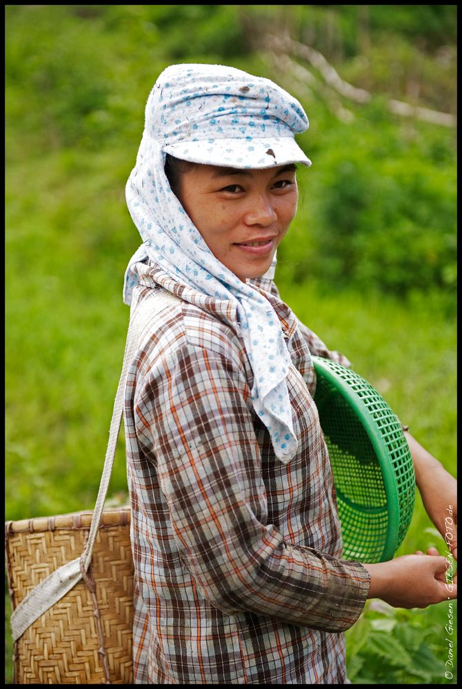Arbeiterin in der Nähe von Sapa, Vietnam 2012
