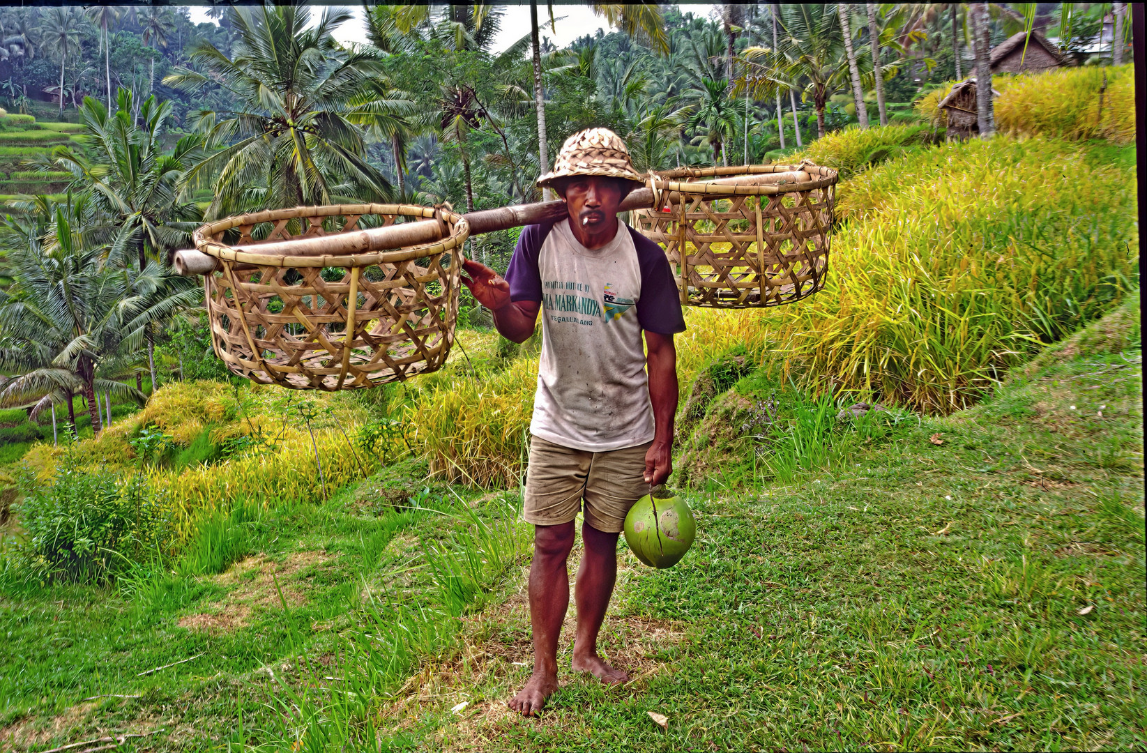 Arbeitsbeginn in den Reisfeldern Balis